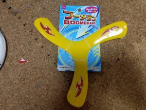 daiso boomerang0001