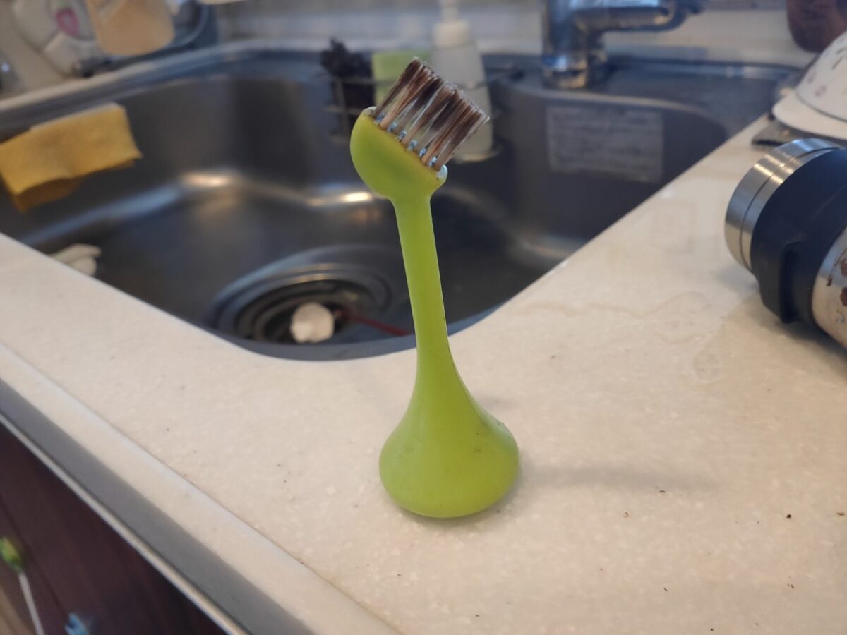 kitchen brush 2